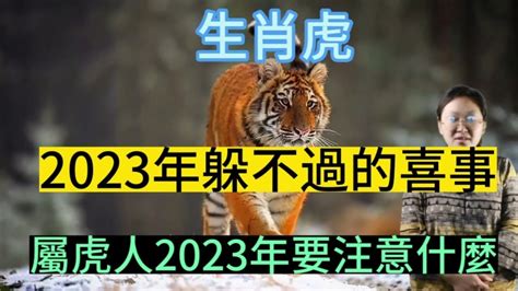 虎 2023 運勢